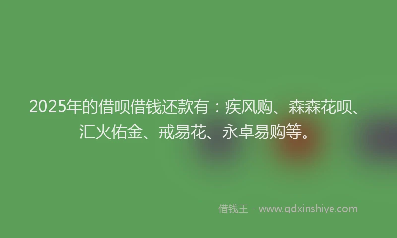 2025年的借呗借钱还款有：疾风购、森森花呗、汇火佑金、戒易花、永卓易购等。
