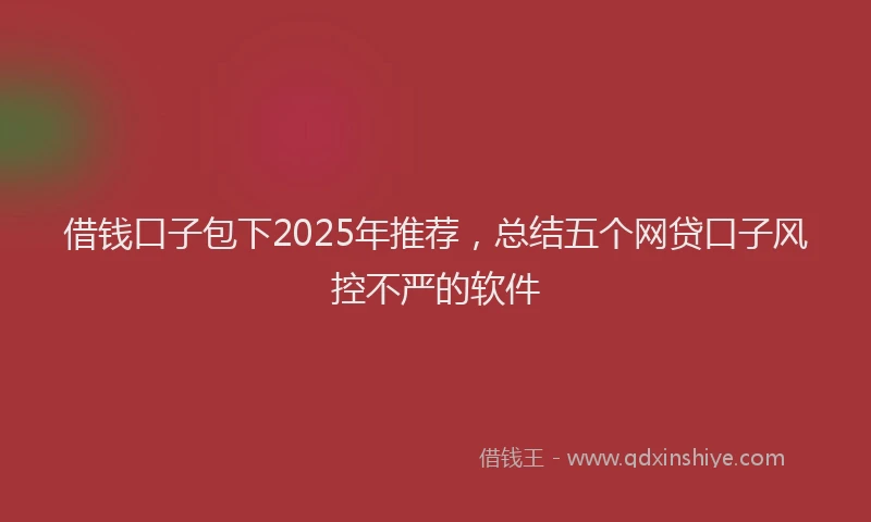 借钱口子包下2025年推荐，总结五个网贷口子风控不严的软件