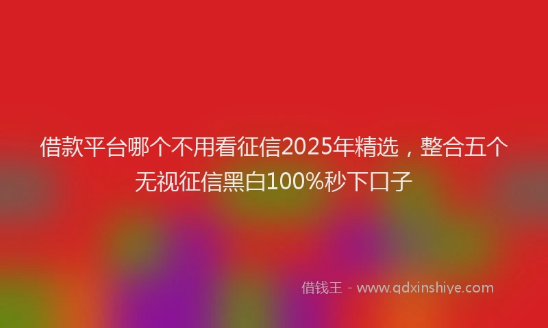 借款平台哪个不用看征信2025年精选，整合五个无视征信黑白100%秒下口子