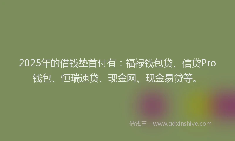 2025年的借钱垫首付有：福禄钱包贷、信贷Pro钱包、恒瑞速贷、现金网、现金易贷等。
