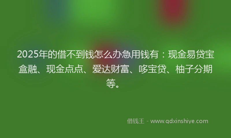 2025年的借不到钱怎么办急用钱有：现金易贷宝盒融、现金点点、爱达财富、哆宝贷、柚子分期等。