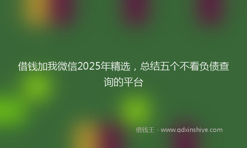 借钱加我微信2025年精选，总结五个不看负债查询的平台