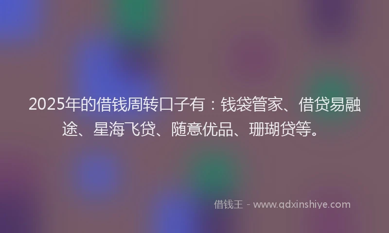 2025年的借钱周转口子有：钱袋管家、借贷易融途、星海飞贷、随意优品、珊瑚贷等。