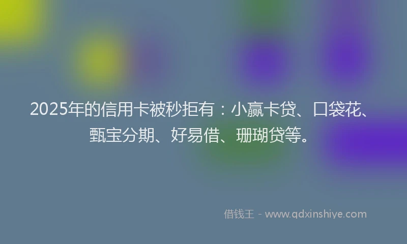 2025年的信用卡被秒拒有：小赢卡贷、口袋花、甄宝分期、好易借、珊瑚贷等。