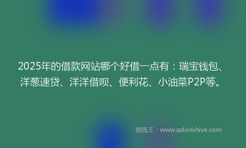 2025年的借款网站哪个好借一点有：瑞宝钱包、洋葱速贷、洋洋借呗、便利花、小油菜P2P等。