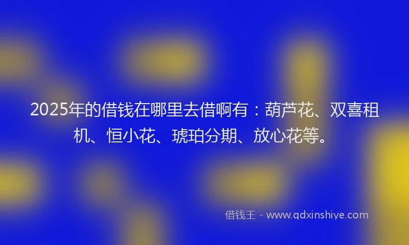 2025年的借钱在哪里去借啊有：葫芦花、双喜租机、恒小花、琥珀分期、放心花等。