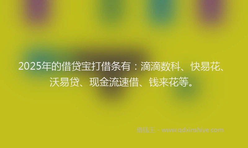 2025年的借贷宝打借条有：滴滴数科、快易花、沃易贷、现金流速借、钱来花等。