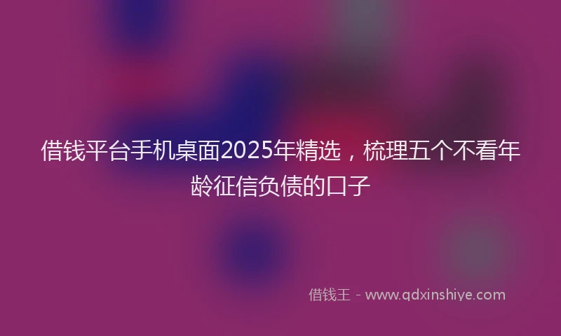 借钱平台手机桌面2025年精选，梳理五个不看年龄征信负债的口子