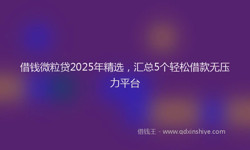 借钱微粒贷2025年精选，汇总5个轻松借款无压力平台