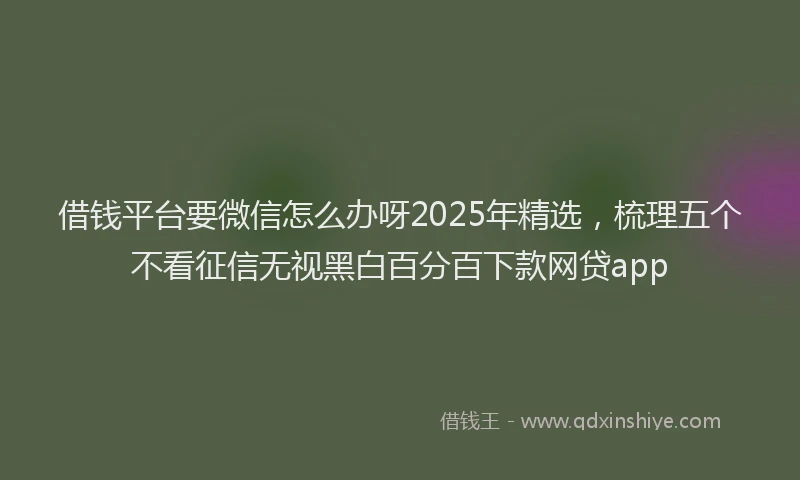 借钱平台要微信怎么办呀2025年精选，梳理五个不看征信无视黑白百分百下款网贷app