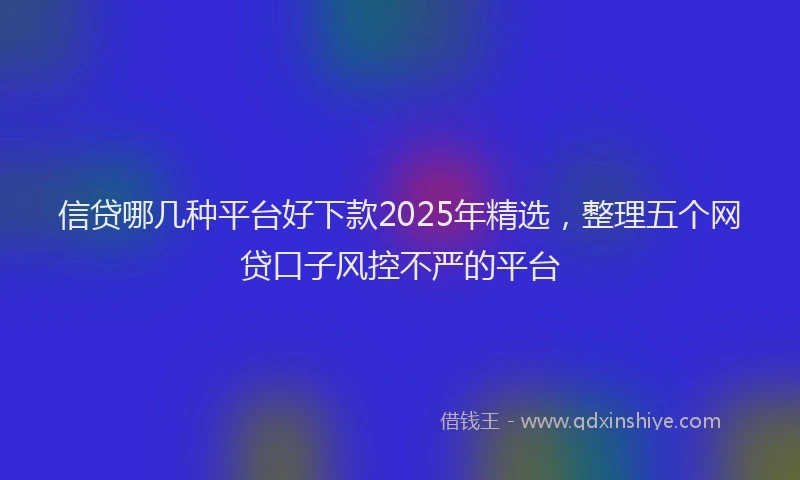 信贷哪几种平台好下款2025年精选，整理五个网贷口子风控不严的平台