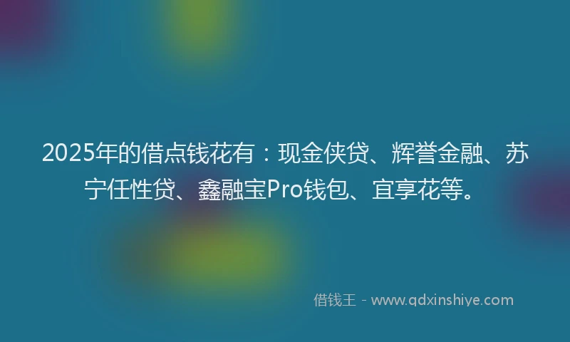 2025年的借点钱花有：现金侠贷、辉誉金融、苏宁任性贷、鑫融宝Pro钱包、宜享花等。
