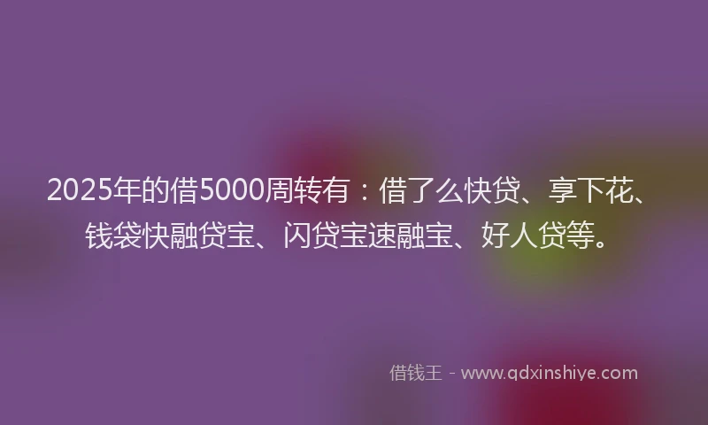 2025年的借5000周转有：借了么快贷、享下花、钱袋快融贷宝、闪贷宝速融宝、好人贷等。