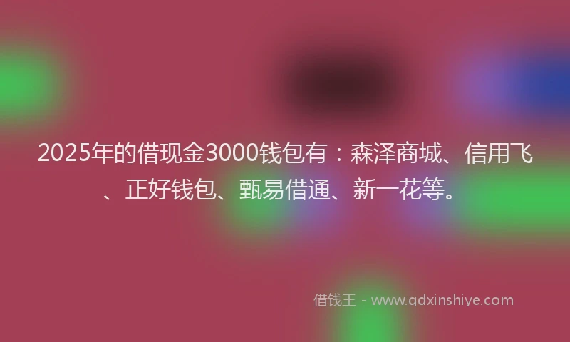 2025年的借现金3000钱包有：森泽商城、信用飞、正好钱包、甄易借通、新一花等。