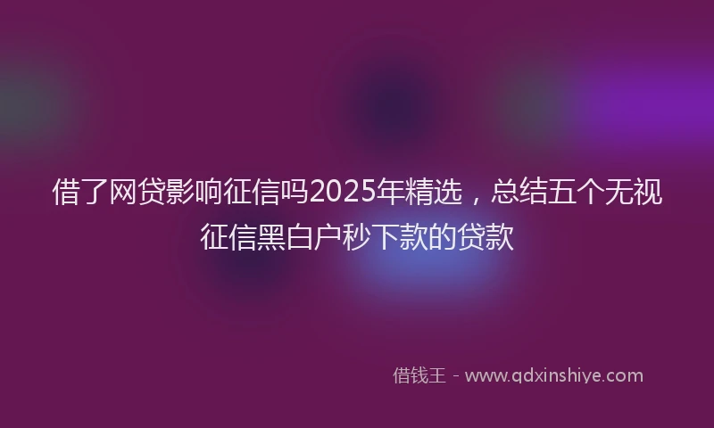 借了网贷影响征信吗2025年精选，总结五个无视征信黑白户秒下款的贷款