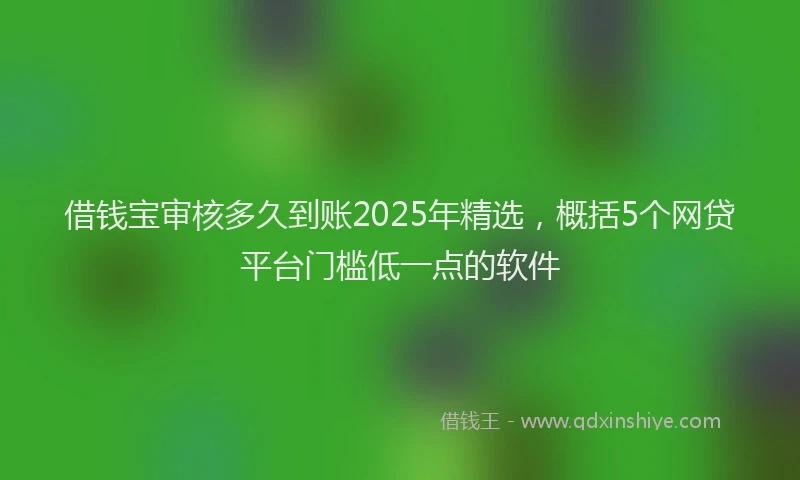 借钱宝审核多久到账2025年精选，概括5个网贷平台门槛低一点的软件