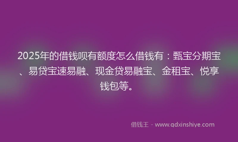 2025年的借钱呗有额度怎么借钱有：甄宝分期宝、易贷宝速易融、现金贷易融宝、金租宝、悦享钱包等。