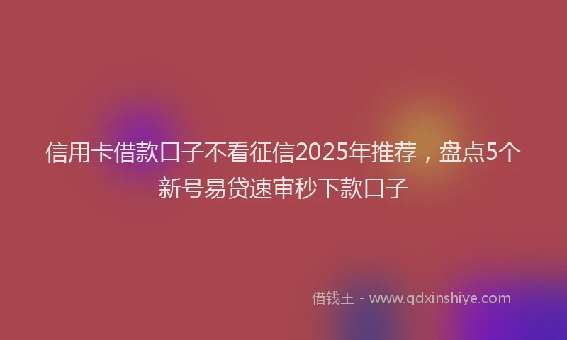 信用卡借款口子不看征信2025年推荐，盘点5个新号易贷速审秒下款口子