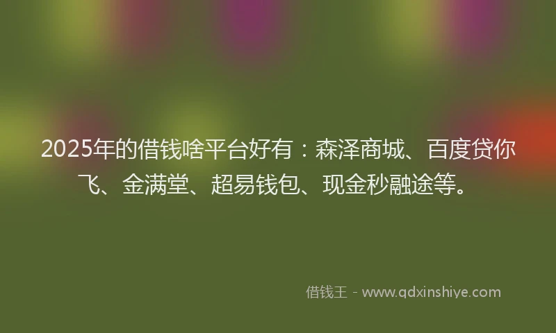 2025年的借钱啥平台好有：森泽商城、百度贷你飞、金满堂、超易钱包、现金秒融途等。