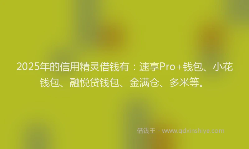 2025年的信用精灵借钱有：速享Pro+钱包、小花钱包、融悦贷钱包、金满仓、多米等。