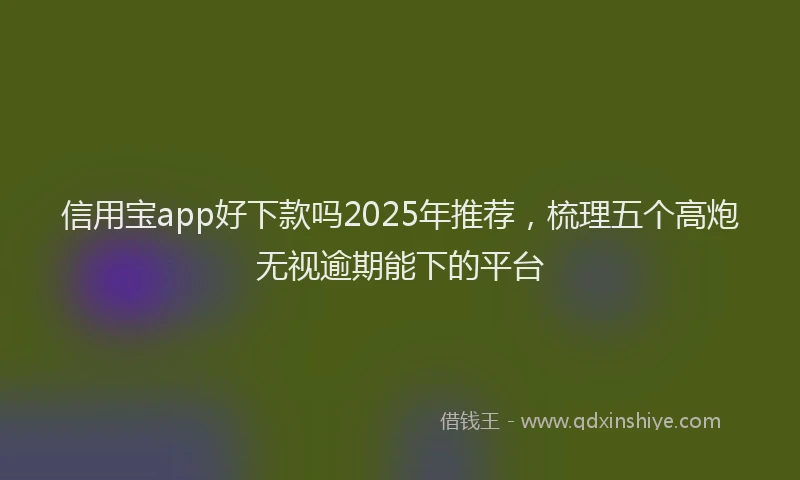 信用宝app好下款吗2025年推荐，梳理五个高炮无视逾期能下的平台