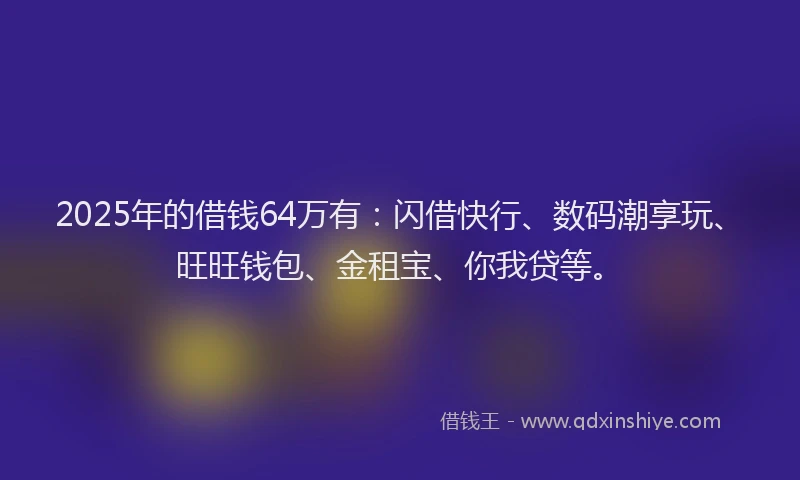 2025年的借钱64万有：闪借快行、数码潮享玩、旺旺钱包、金租宝、你我贷等。