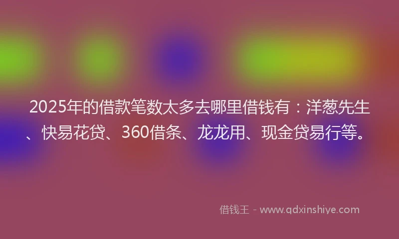 2025年的借款笔数太多去哪里借钱有：洋葱先生、快易花贷、360借条、龙龙用、现金贷易行等。