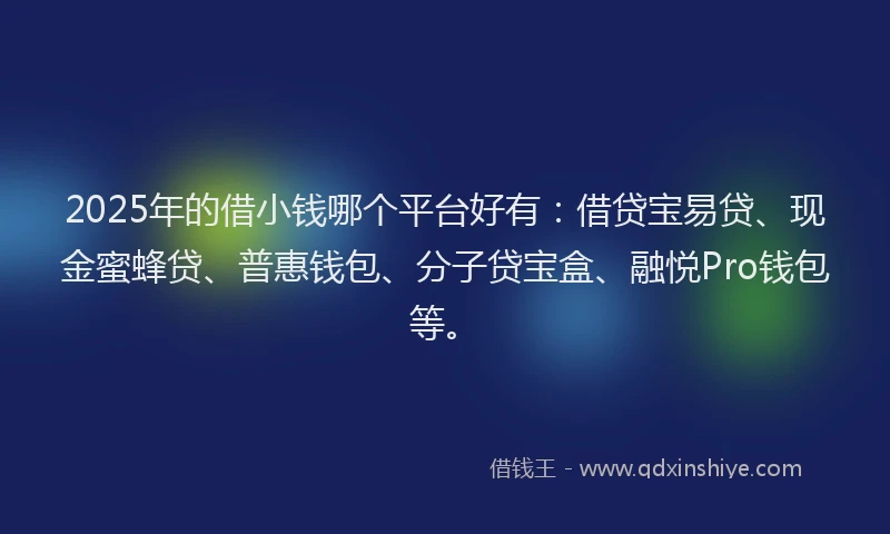 2025年的借小钱哪个平台好有：借贷宝易贷、现金蜜蜂贷、普惠钱包、分子贷宝盒、融悦Pro钱包等。