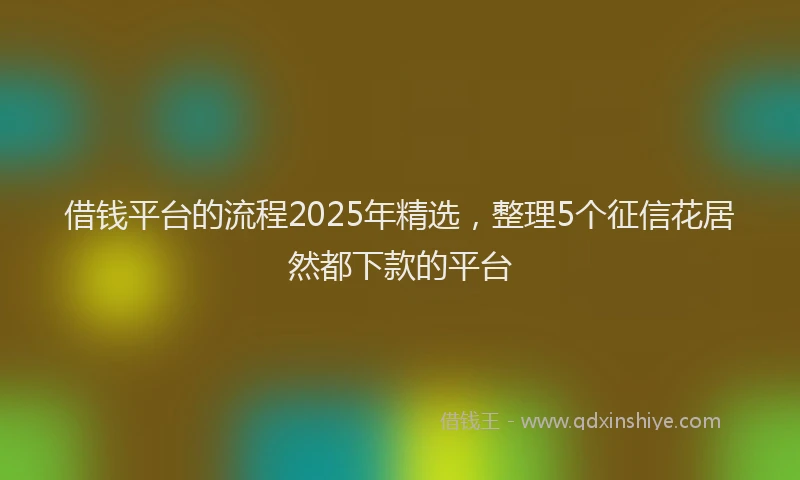 借钱平台的流程2025年精选，整理5个征信花居然都下款的平台