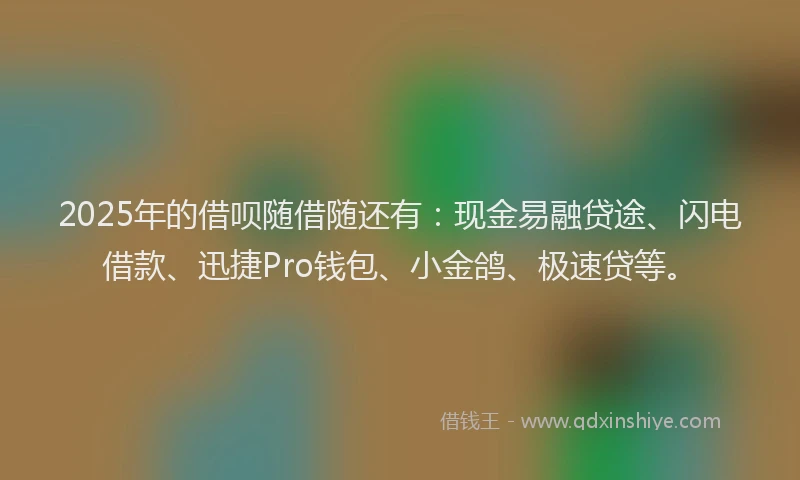 2025年的借呗随借随还有：现金易融贷途、闪电借款、迅捷Pro钱包、小金鸽、极速贷等。