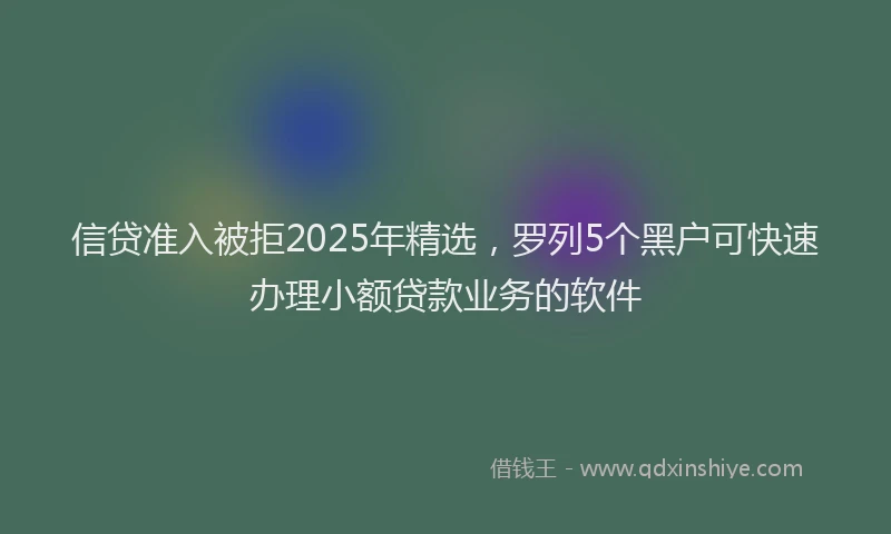 信贷准入被拒2025年精选，罗列5个黑户可快速办理小额贷款业务的软件