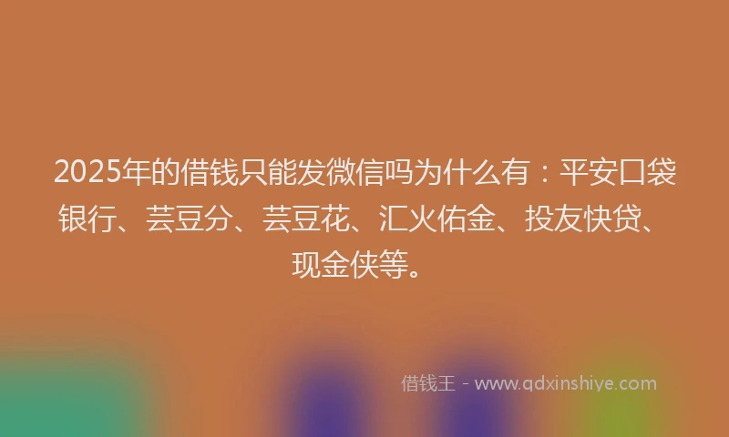 2025年的借钱只能发微信吗为什么有：平安口袋银行、芸豆分、芸豆花、汇火佑金、投友快贷、现金侠等。