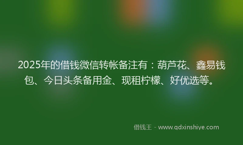 2025年的借钱微信转帐备注有：葫芦花、鑫易钱包、今日头条备用金、现租柠檬、好优选等。