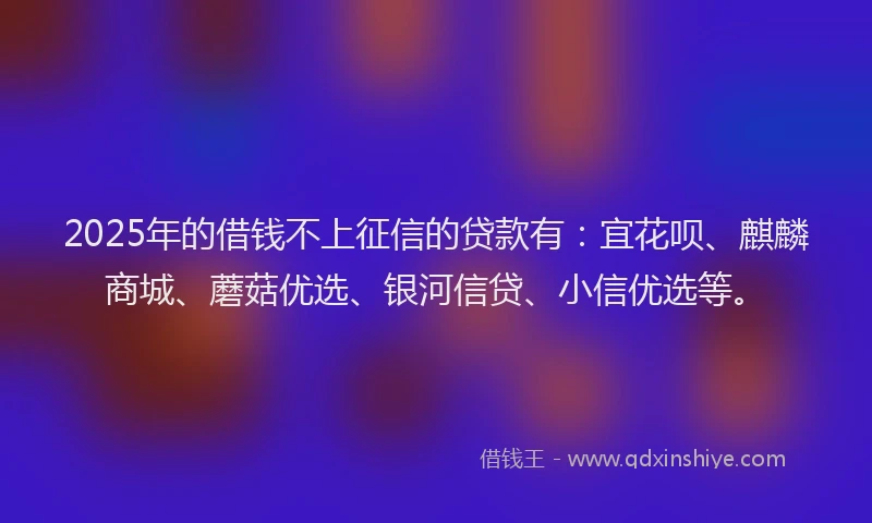 2025年的借钱不上征信的贷款有：宜花呗、麒麟商城、蘑菇优选、银河信贷、小信优选等。