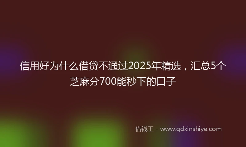 信用好为什么借贷不通过2025年精选，汇总5个芝麻分700能秒下的口子