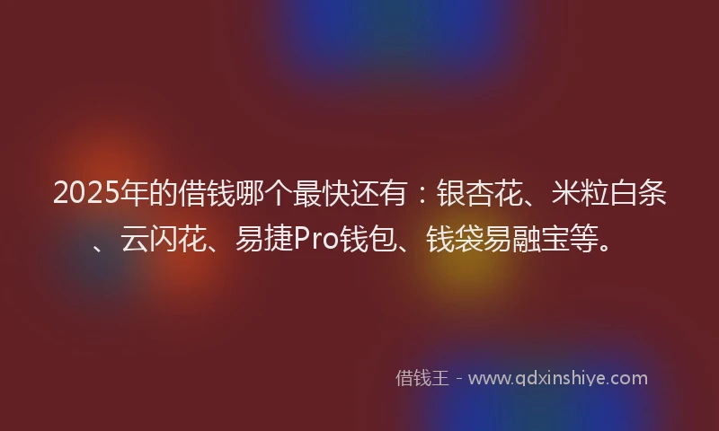 2025年的借钱哪个最快还有：银杏花、米粒白条、云闪花、易捷Pro钱包、钱袋易融宝等。
