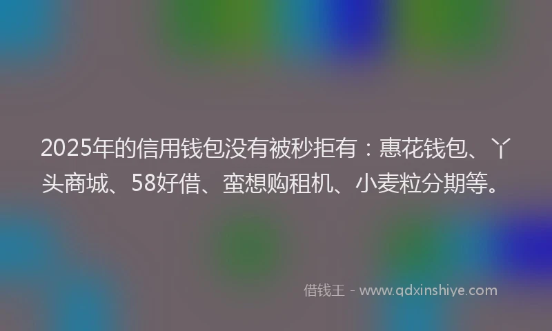 2025年的信用钱包没有被秒拒有：惠花钱包、丫头商城、58好借、蛮想购租机、小麦粒分期等。