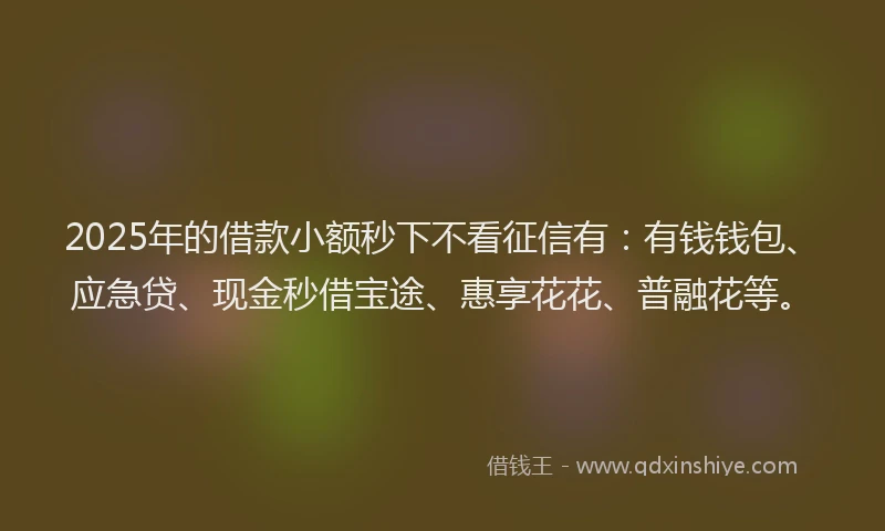 2025年的借款小额秒下不看征信有：有钱钱包、应急贷、现金秒借宝途、惠享花花、普融花等。