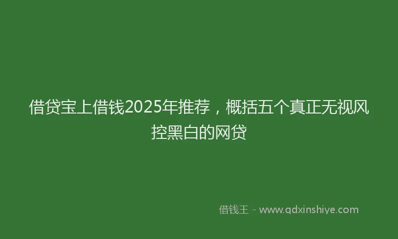借贷宝上借钱2025年推荐，概括五个真正无视风控黑白的网贷