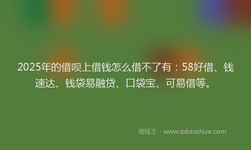 2025年的借呗上借钱怎么借不了有：58好借、钱速达、钱袋易融贷、口袋宝、可易借等。