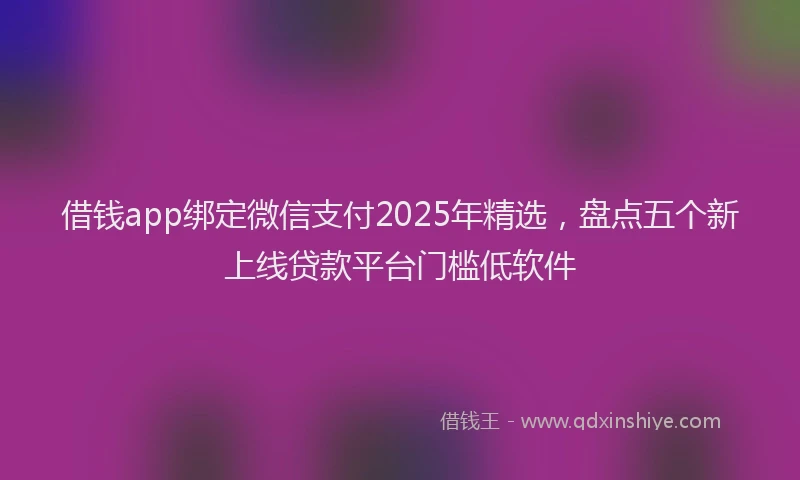 借钱app绑定微信支付2025年精选，盘点五个新上线贷款平台门槛低软件