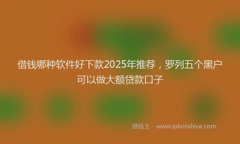借钱哪种软件好下款2025年推荐，罗列五个黑户可以做大额贷款口子