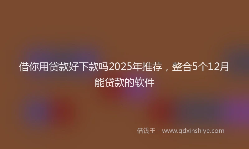 借你用贷款好下款吗2025年推荐，整合5个12月能贷款的软件