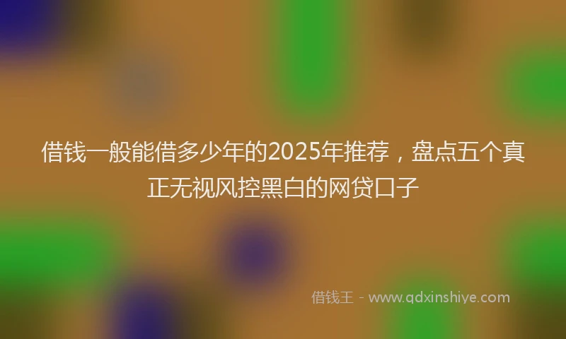借钱一般能借多少年的2025年推荐，盘点五个真正无视风控黑白的网贷口子