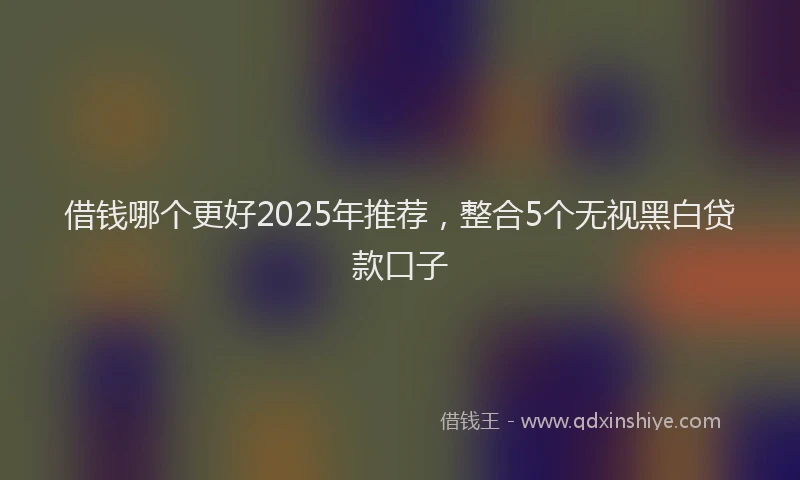 借钱哪个更好2025年推荐,整合5个无视黑白贷款口子