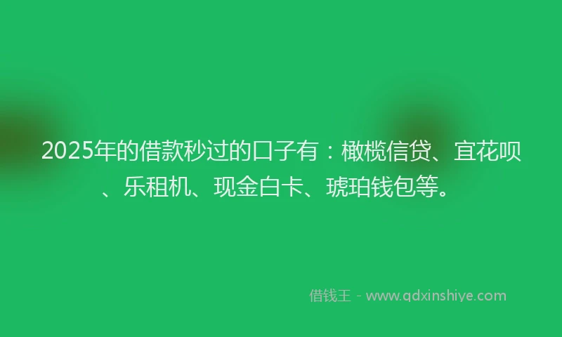 2025年的借款秒过的口子有：橄榄信贷、宜花呗、乐租机、现金白卡、琥珀钱包等。