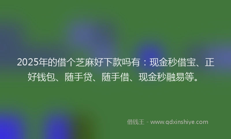 2025年的借个芝麻好下款吗有：现金秒借宝、正好钱包、随手贷、随手借、现金秒融易等。