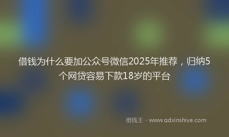 借钱为什么要加公众号微信2025年推荐，归纳5个网贷容易下款18岁的平台
