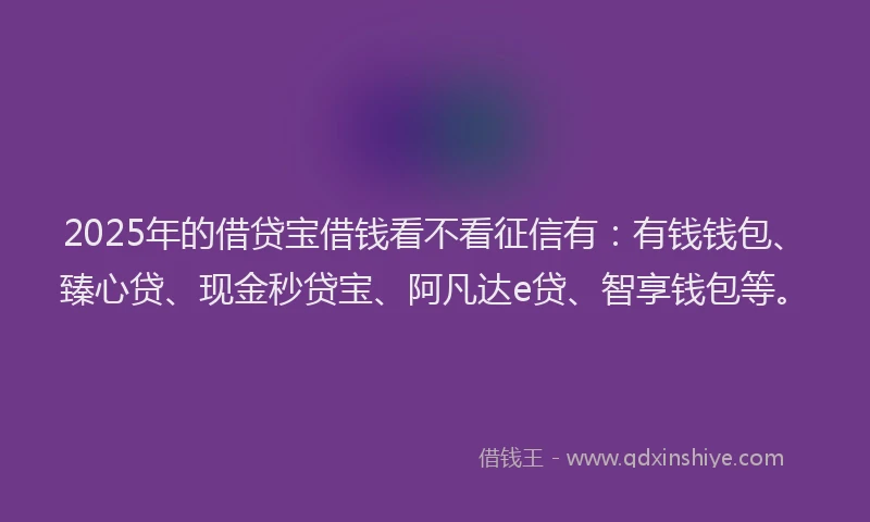 2025年的借贷宝借钱看不看征信有：有钱钱包、臻心贷、现金秒贷宝、阿凡达e贷、智享钱包等。