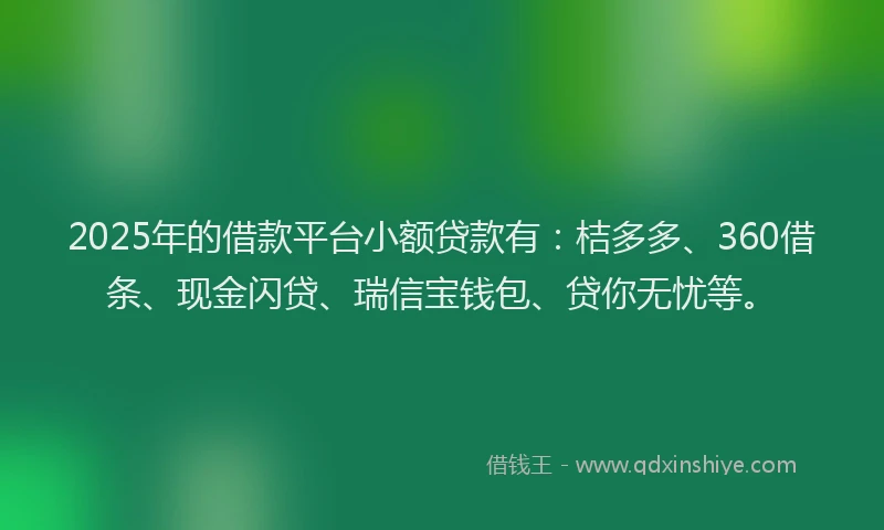 2025年的借款平台小额贷款有：桔多多、360借条、现金闪贷、瑞信宝钱包、贷你无忧等。